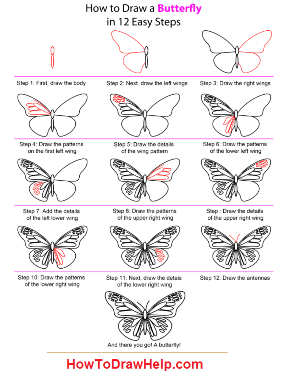 Как нарисовать бабочку поэтапно для детей