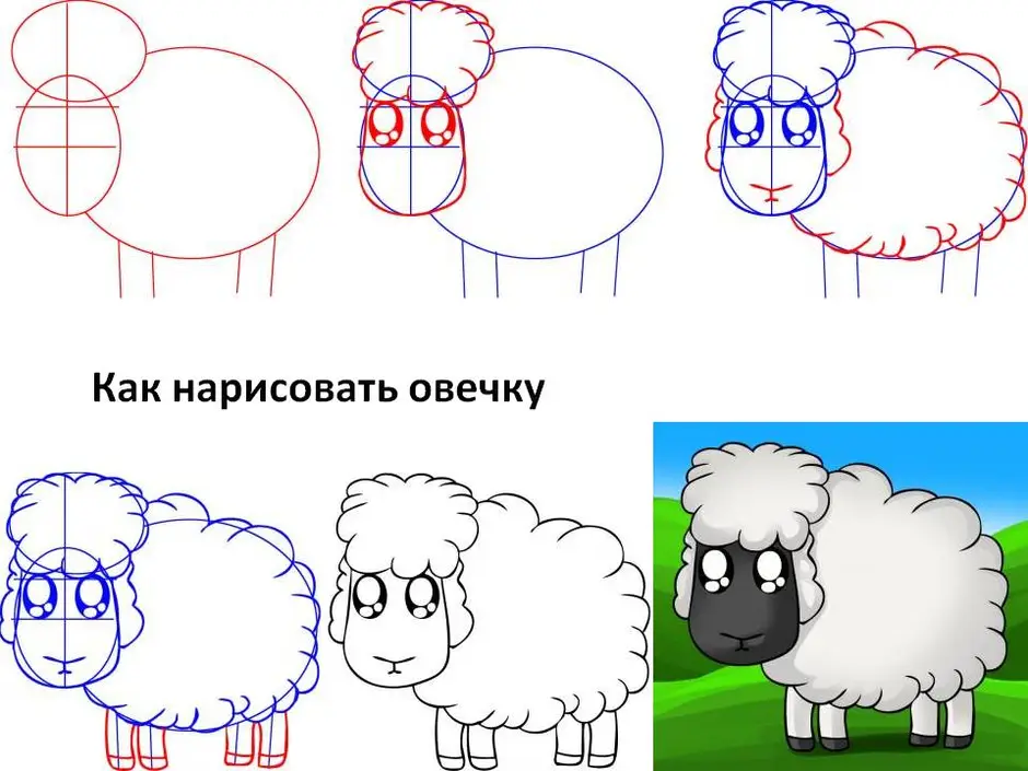 Как нарисовать овечку легко