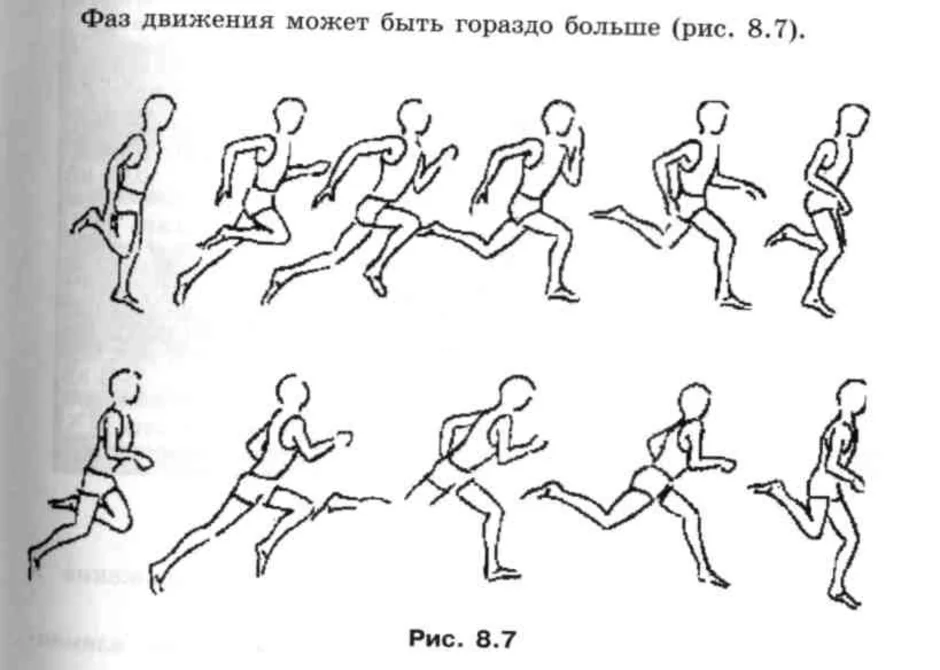 Лет в движении в течение. Фазы движения человека. Фазы движений человека в движении. Фазы движения человечка. Схема бегущего человека.