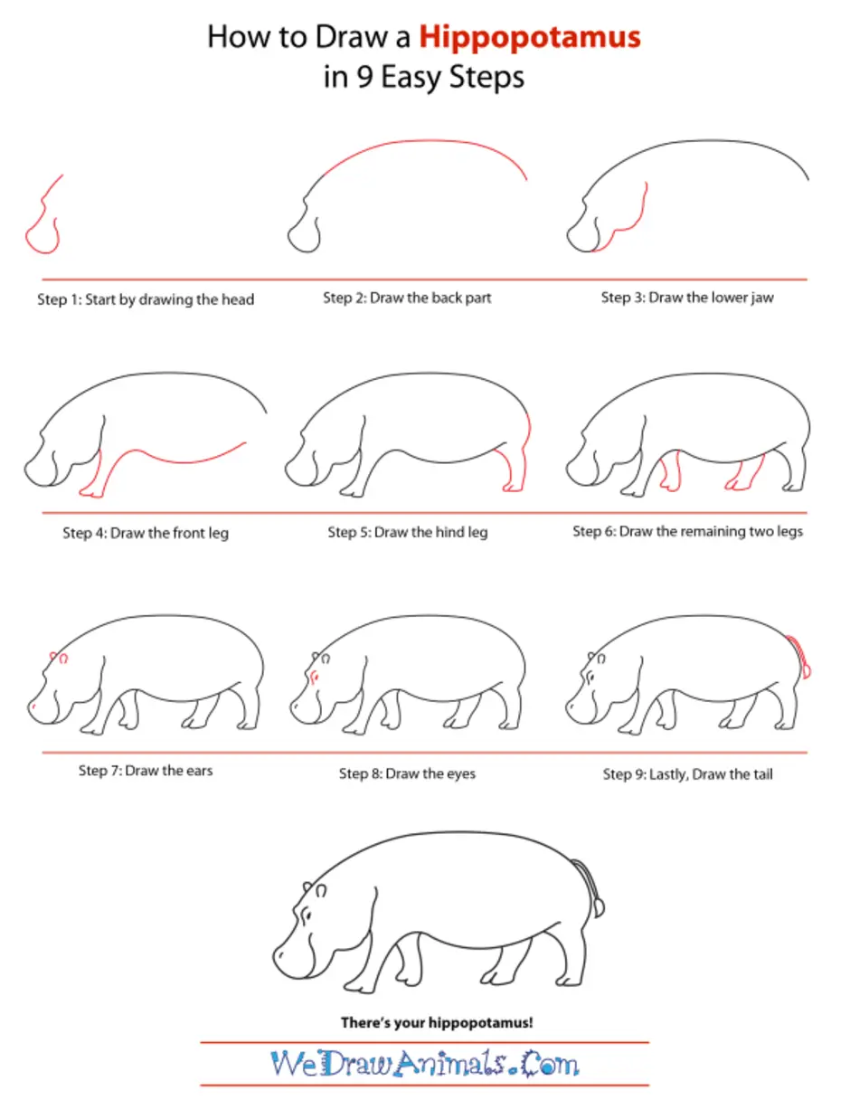Как рисовать бегемота для детей поэтапно