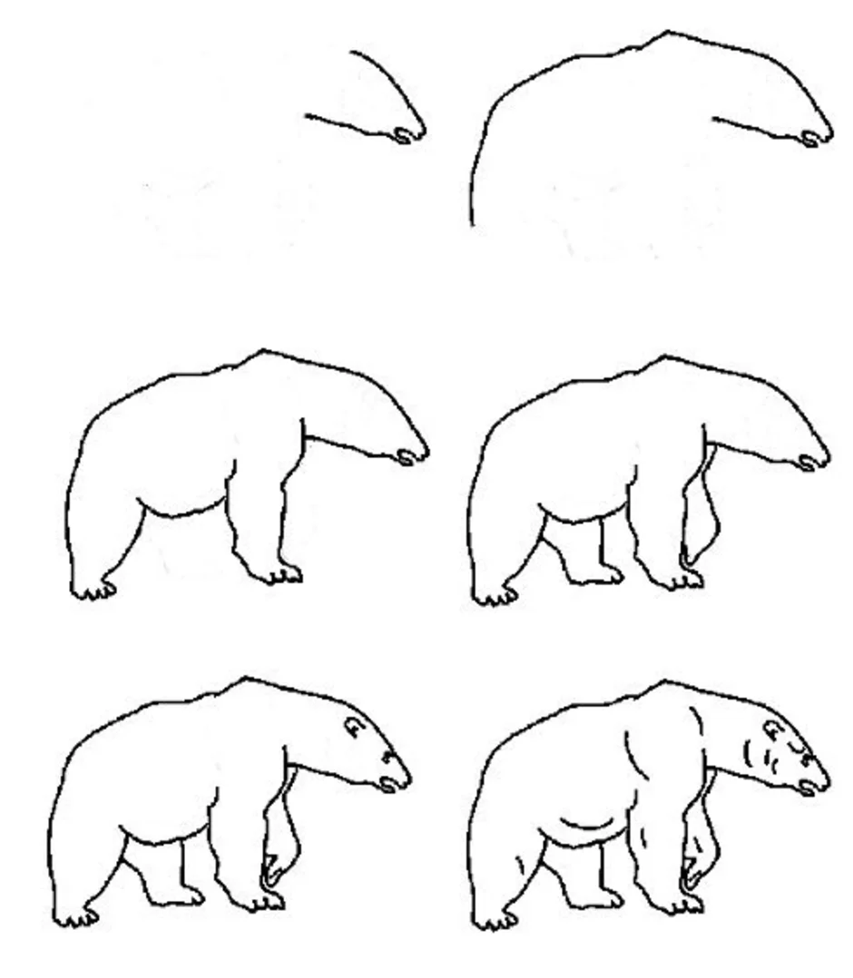 Как по частям нарисовать белого медведя