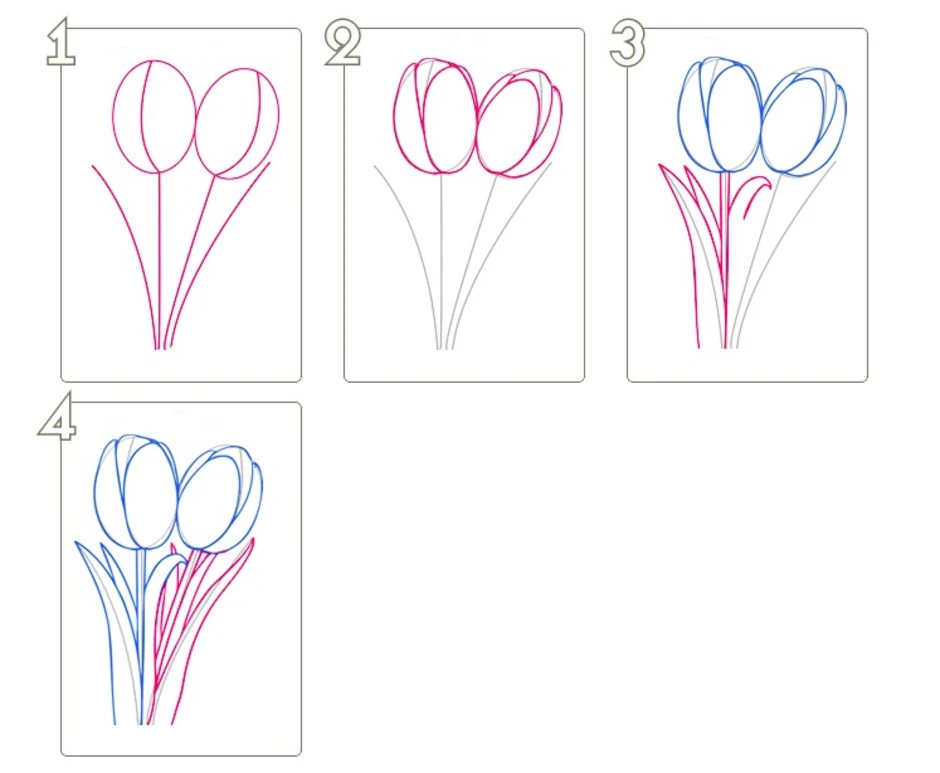 Рисунок тюльпан по этапам