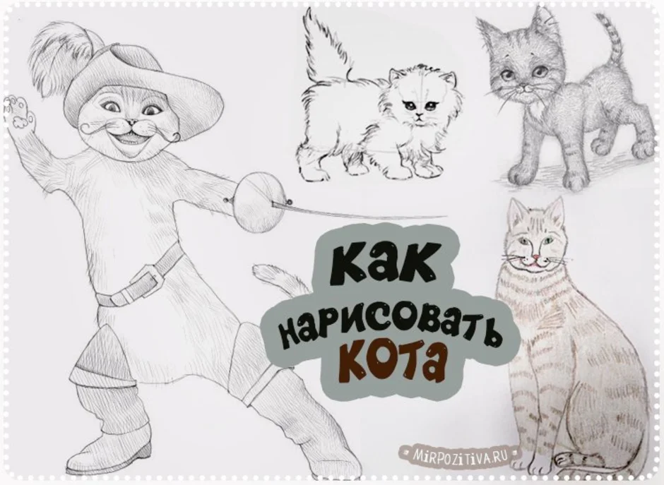 Кот в сапогах пошагово нарисовать