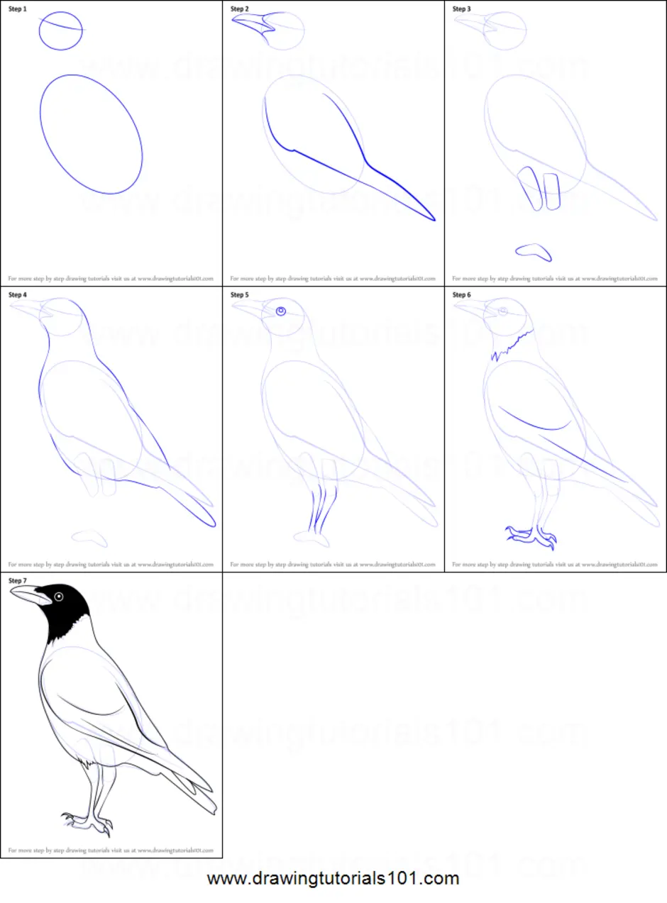 Как нарисовать птицу ворона