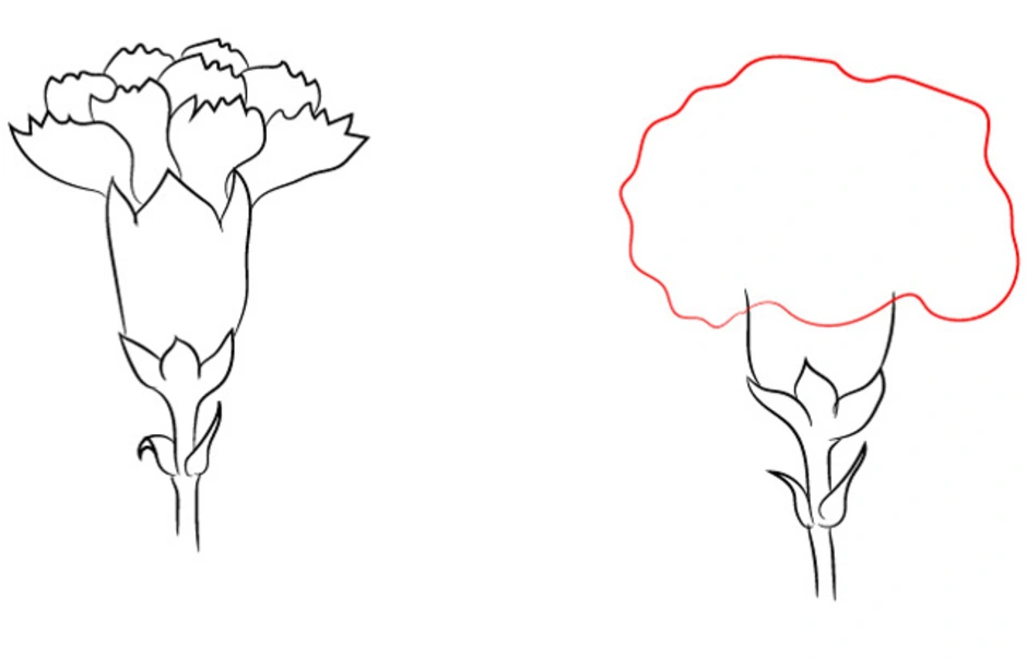 Как нарисовать цветок гвоздику карандашом легко и красиво