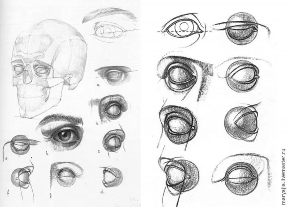 Глаза в разных ракурсах как рисовать