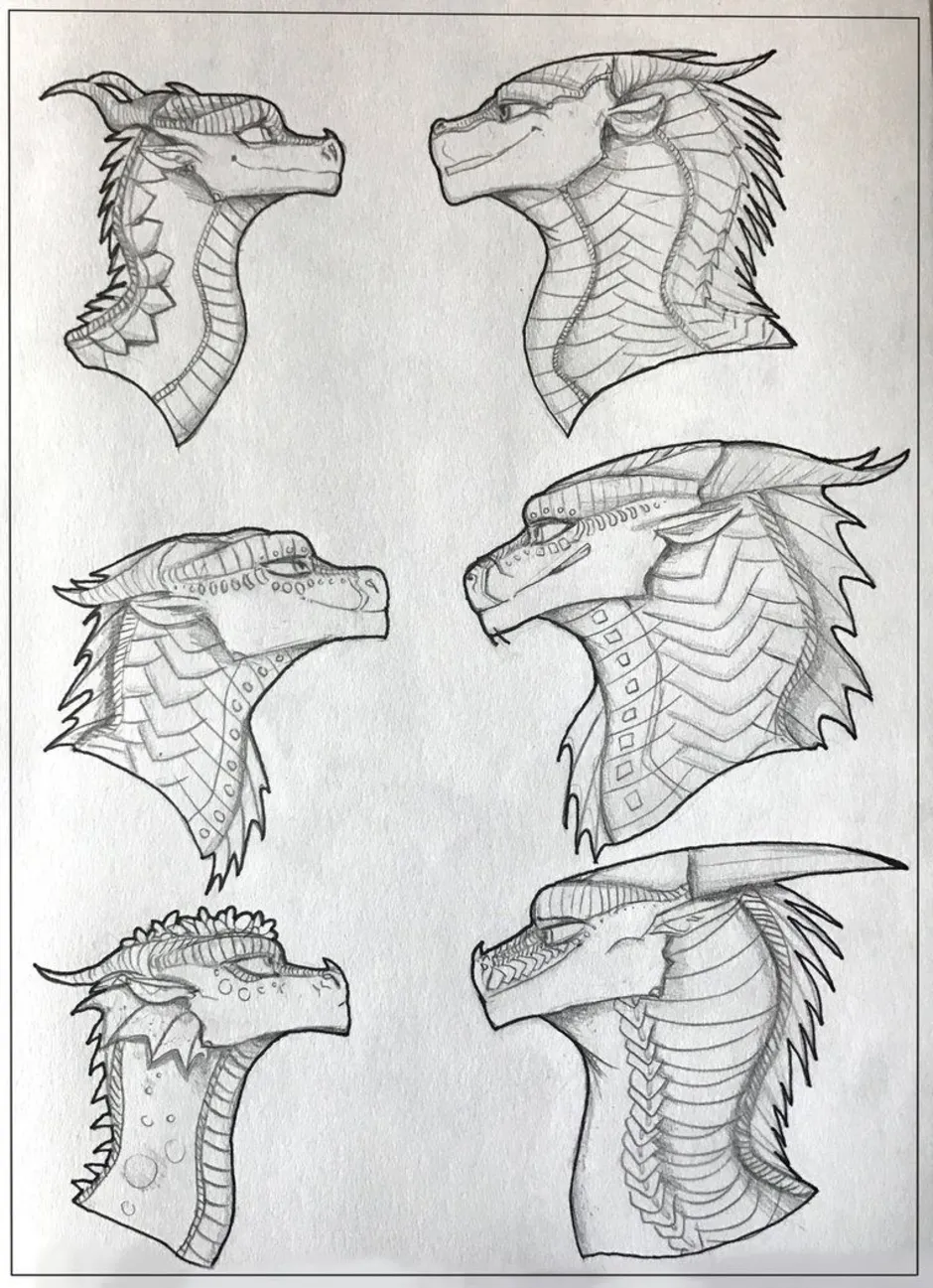 Рисунок головы дракона. Драконья сага анатомия. Морда дракона референс спереди. Драконья сага эскиз. Референс дракона сбоку.