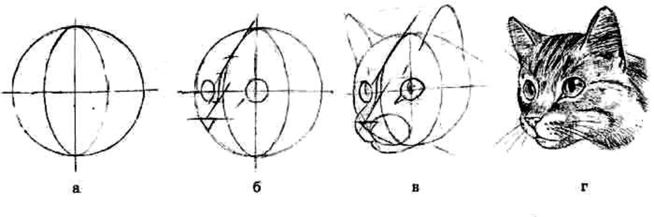 Как нарисовать кошачью голову