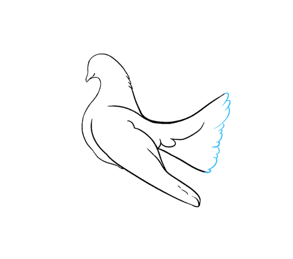 Голубь карандашом. Голубь для рисования. Голубь для срисовки. Голубь рисунок карандашом.