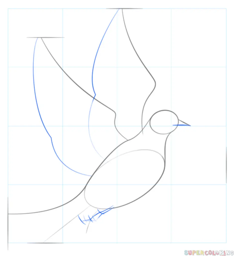 Нарисовать голубя на 9. Поэтапное рисование голубя. Поэтапный рисунок голубя. Пошаговое рисование голубя.