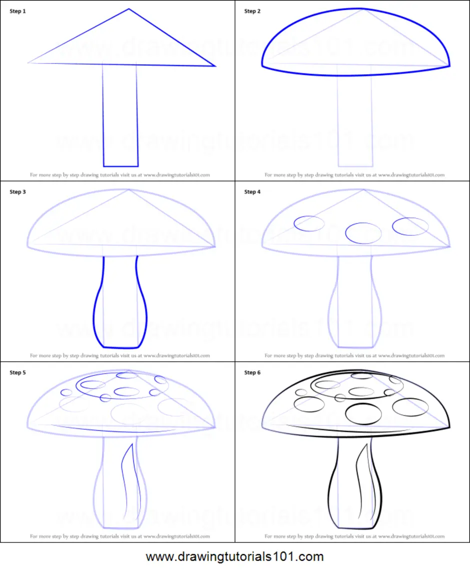 Как рисуется гриб. Как нарисовать грибы поэтапно карандашом. Как нарисовать гриб мухомор поэтапно. Нарисовать грибы размер. Нарисовать рисунок Радужный гриб поэтапно.