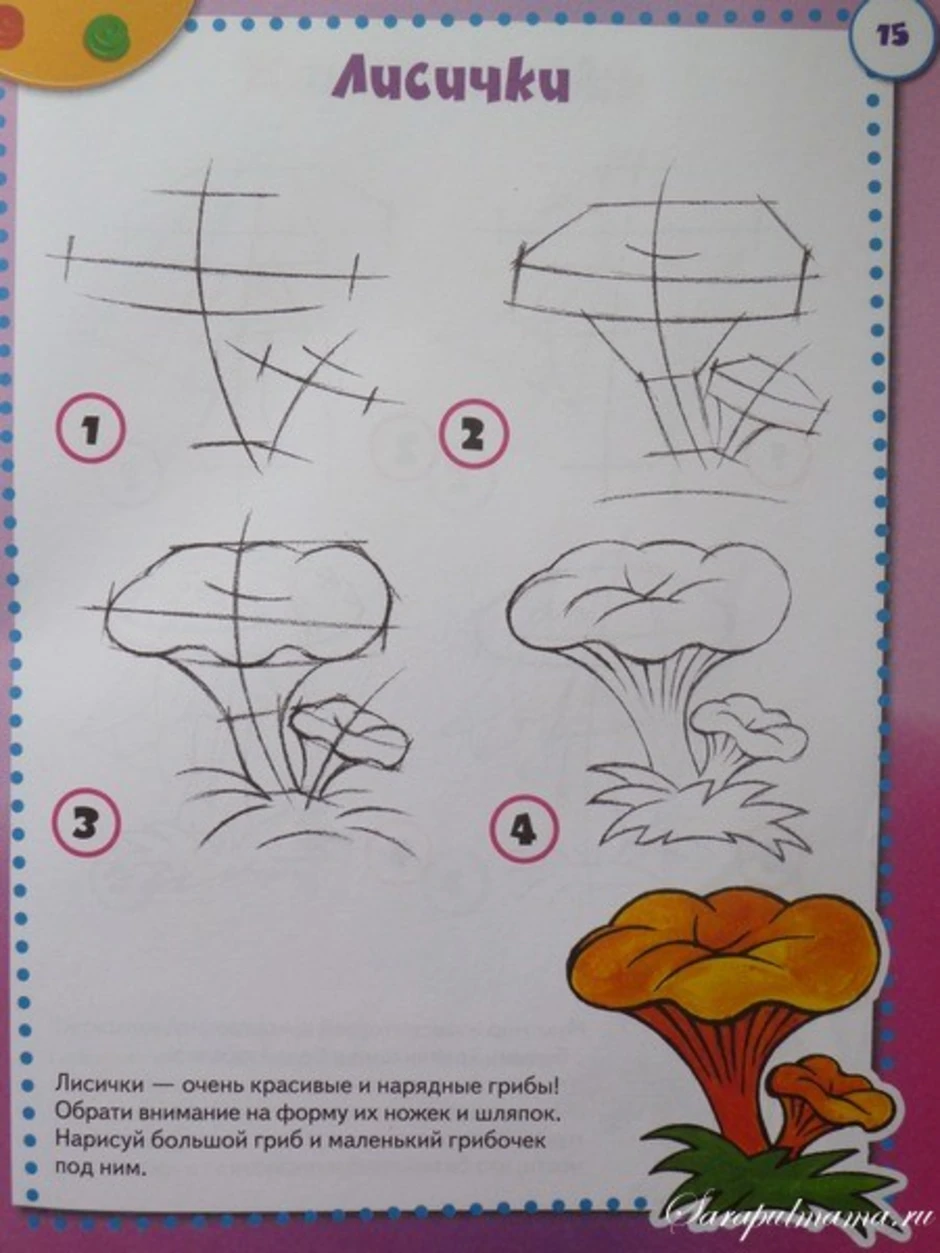 Рисунок гриба 5 класс. Рисование грибы. Гриб рисунок. Пошаговое рисование гриба. Поэтапное рисование грибов для дошкольников.