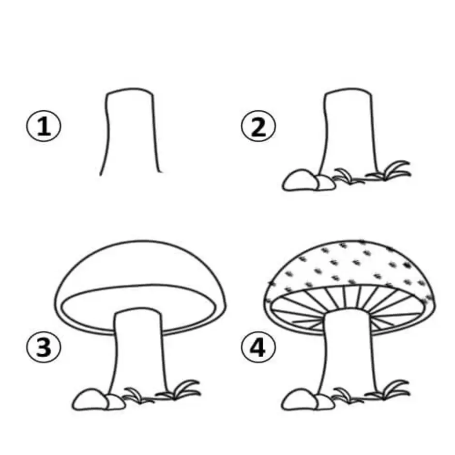 Рисунок гриба 5 класс. Рисование гриба поэтапно. Рисуем грибы поэтапно. Гриб рисунок для детей карандашом. Поэтапное рисование гриба для детей.