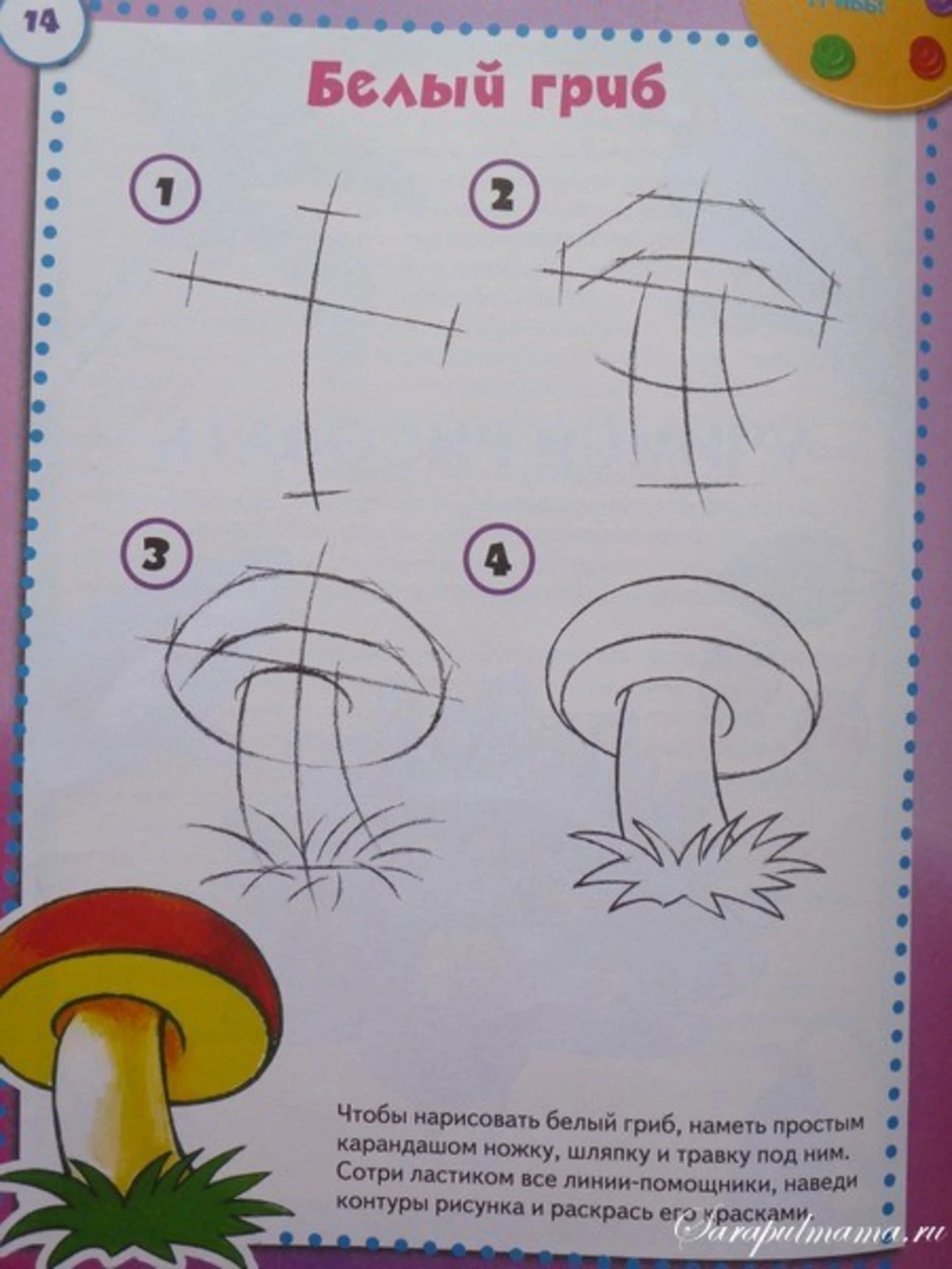 Грибы поэтапно. Рисование с детьми грибы. Поэтапное рисование гриба. Рисунки грибов карандашом. Рисование грибов поэтапно.