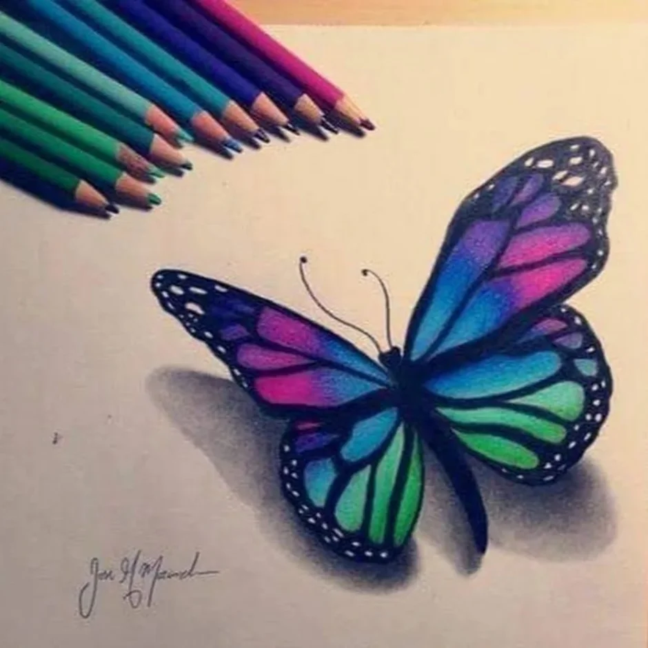 Без цветной рисунок. Бабочка рисунок. Бабочка рисунок карандашом. Бабочка цветными карандашами. Рисование бабочки.