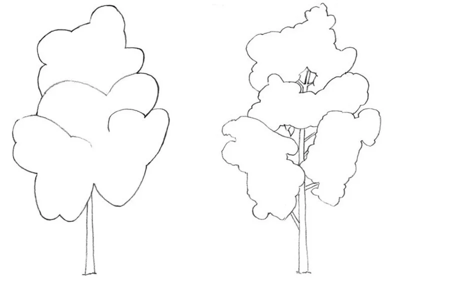Как рисовать дерево. Дерево карандашом для детей. Нарисовать клён дерево. Клен карандашом для детей.