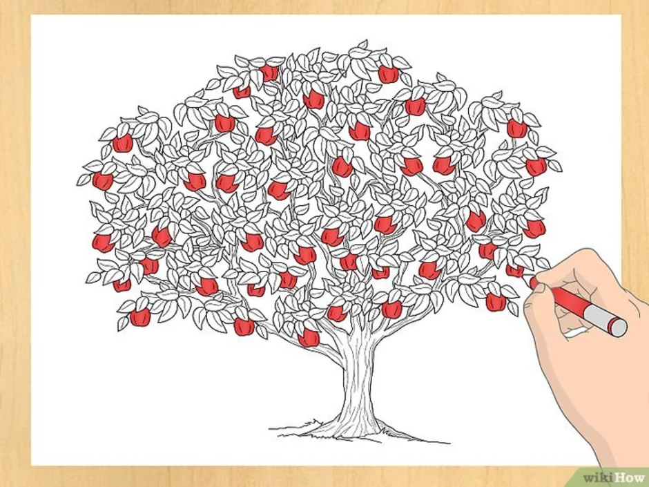 Яблоня карандашом. Яблоня рисунок карандашом. Дерево яблоня рисунок карандашом. Яблоня рисунок легкий. Красивое дерево раскраска.