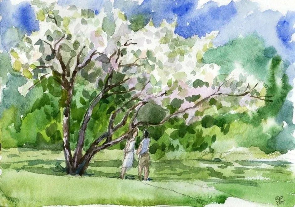 Рисуем май 3 класс. Картина Есенина черемуха. Этюды деревьев акварелью пленэр. Яблоневый сад в цвету акварель. Куст черёмухи акварель.