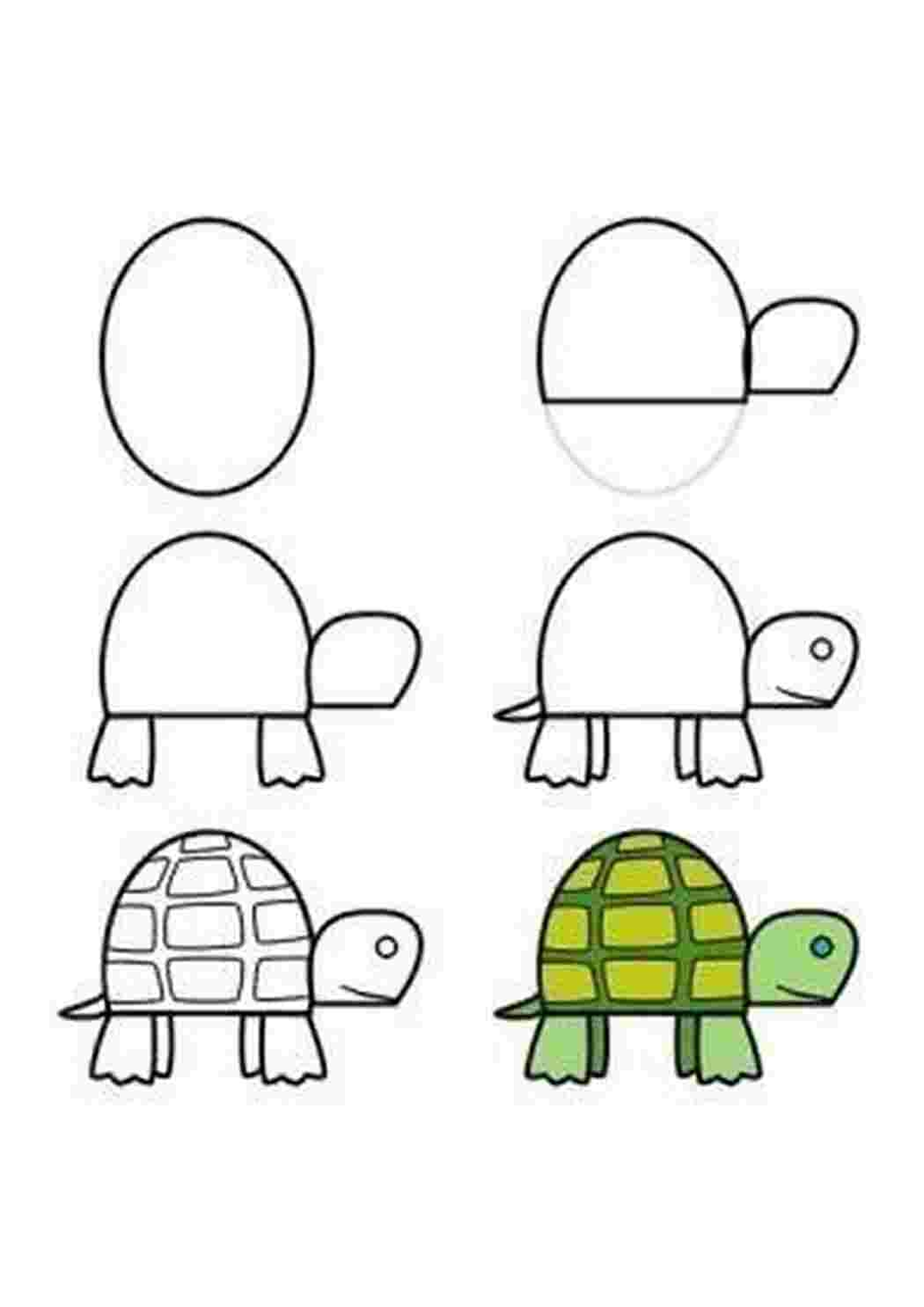 Рисуем черепаху поэтапно с детьми презентация