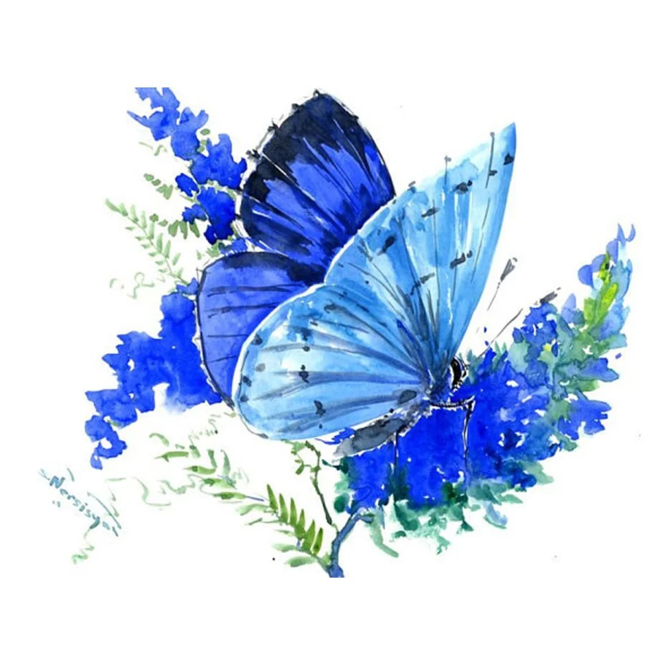 Бело голубые бабочки. Голубая бабочка. Синий рисунок. Синяя бабочка. Бабочка рисунок.