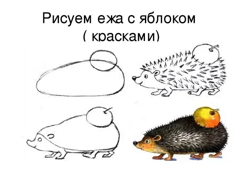 Нарисовать ежа 1 класс