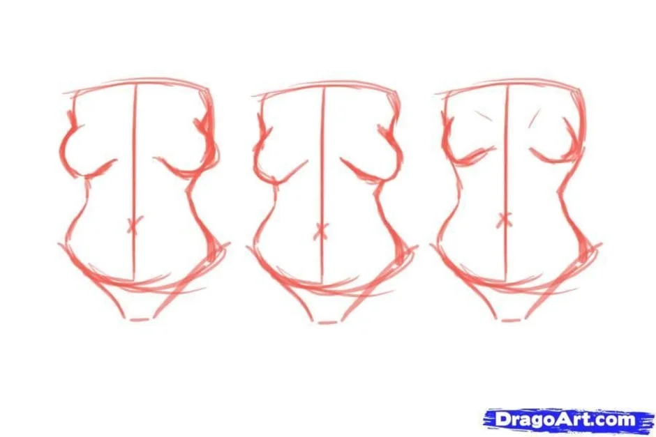 Как рисовать большую грудь