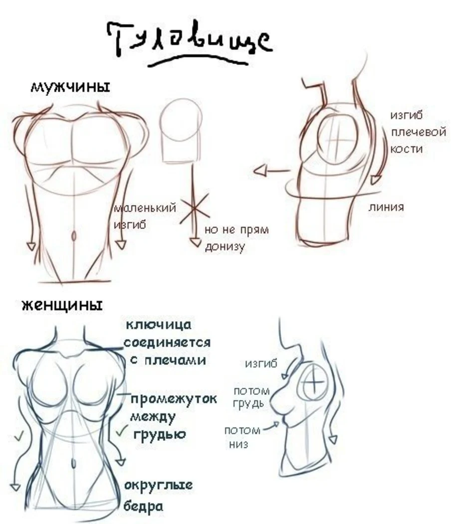 Как рисовать аниме женскую грудь