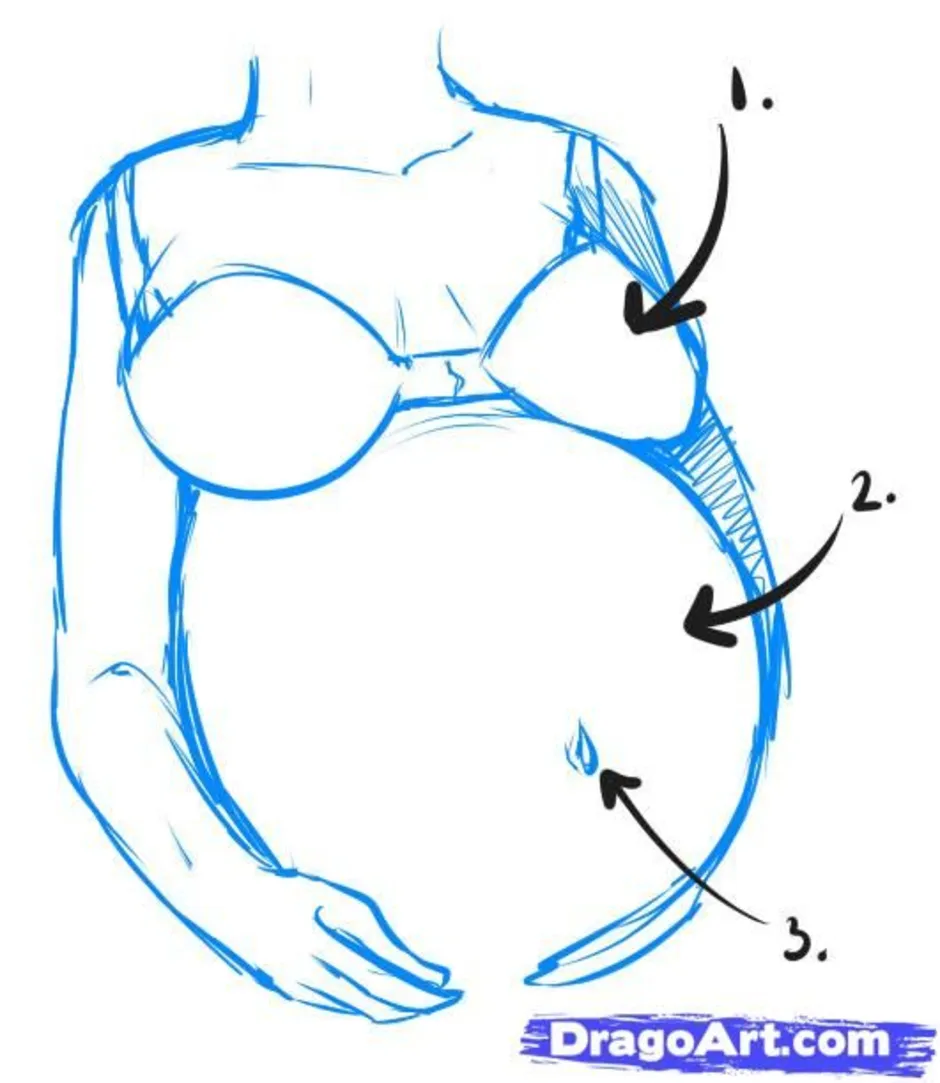 Как нарисовать грудь поэтапно