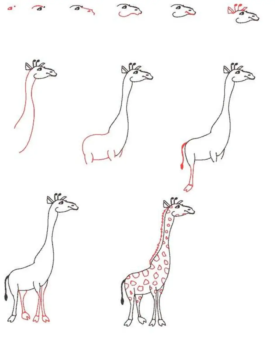 Жираф поэтапно для детей. Рисование жирафа. Жираф рисунок карандашом. Рисование Жираф пошагово. Жираф поэтапное рисование для детей.