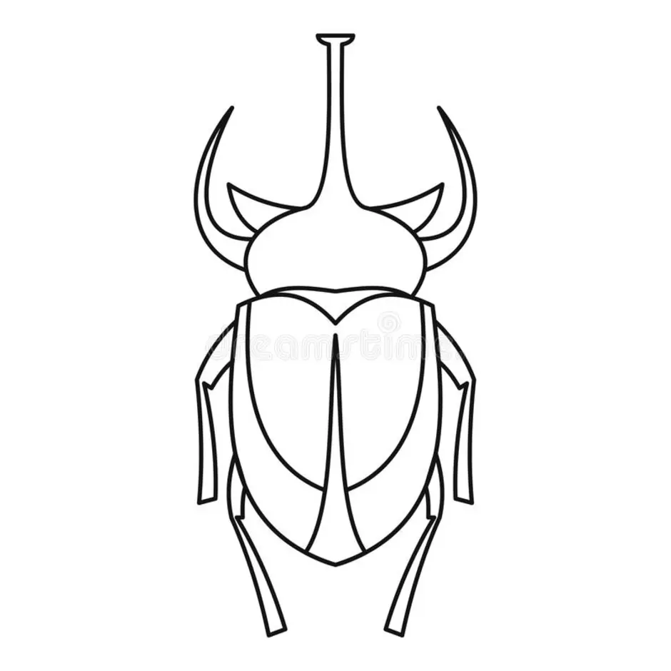 Жук носорог рисунок сверху