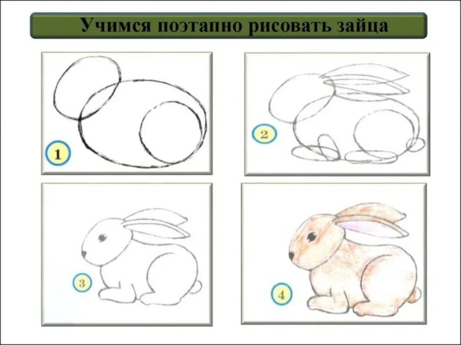 Изо поэтапно 1 класс. Поэтапное рисованиезаца. Рисование зайца. Пошаговый рисунок зайца. Уроки рисования зайца.