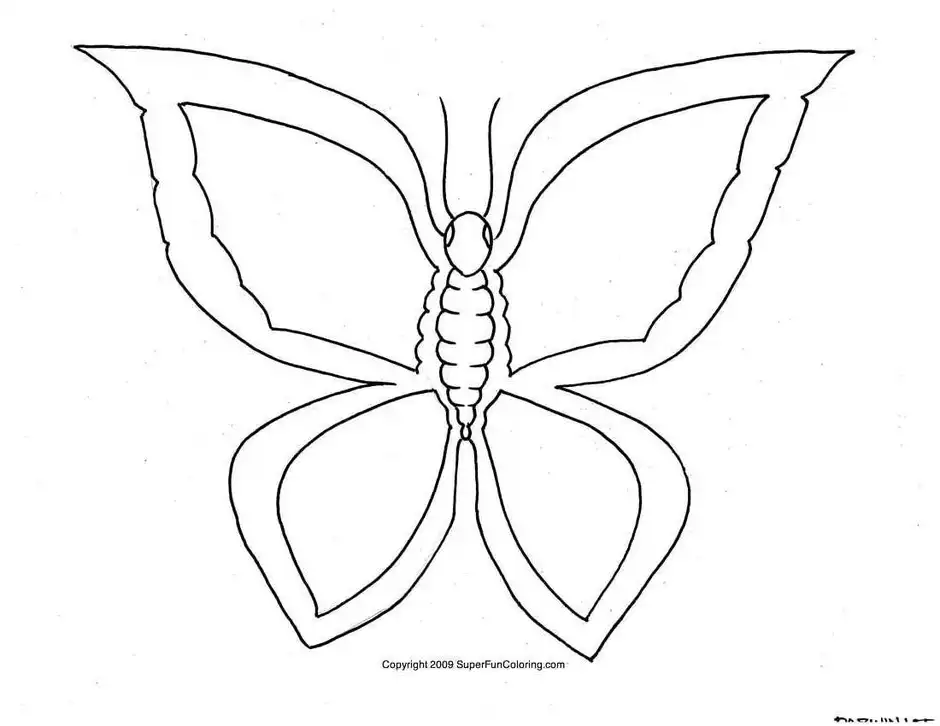 Как нарисовать бабочку на весь лист бабочку