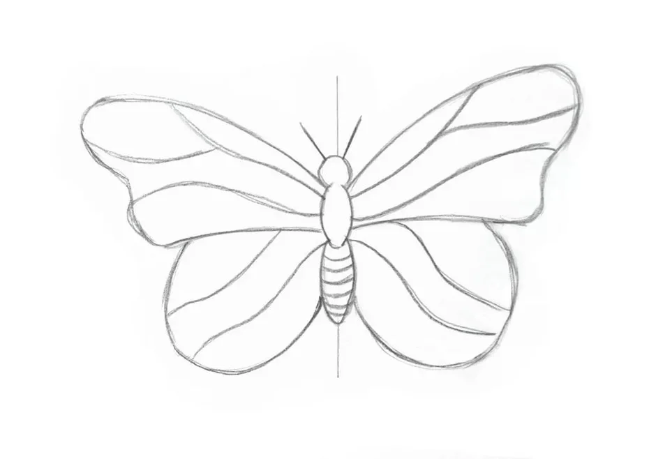 Нарисовать бабочку карандашом легко и красиво и быстро