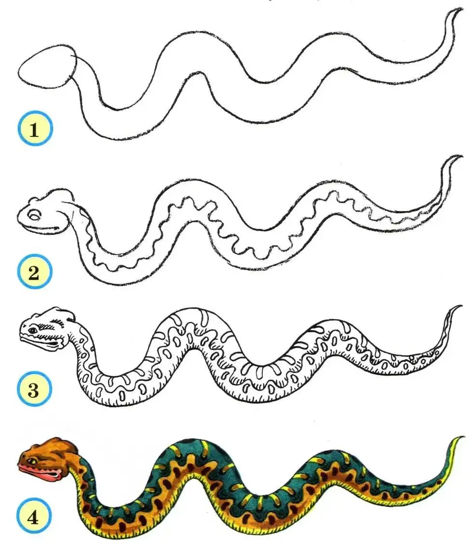 Змея рисунок карандашом легкий для срисовки