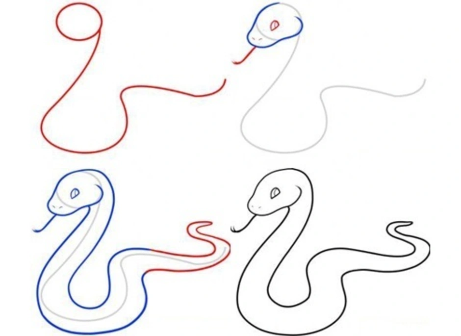 Змейка для начинающих. Поэтапное рисование змеи. Поэтапное рисование змеи для детей. Змея пошаговое рисование. Как нарисовать змею поэтапно.
