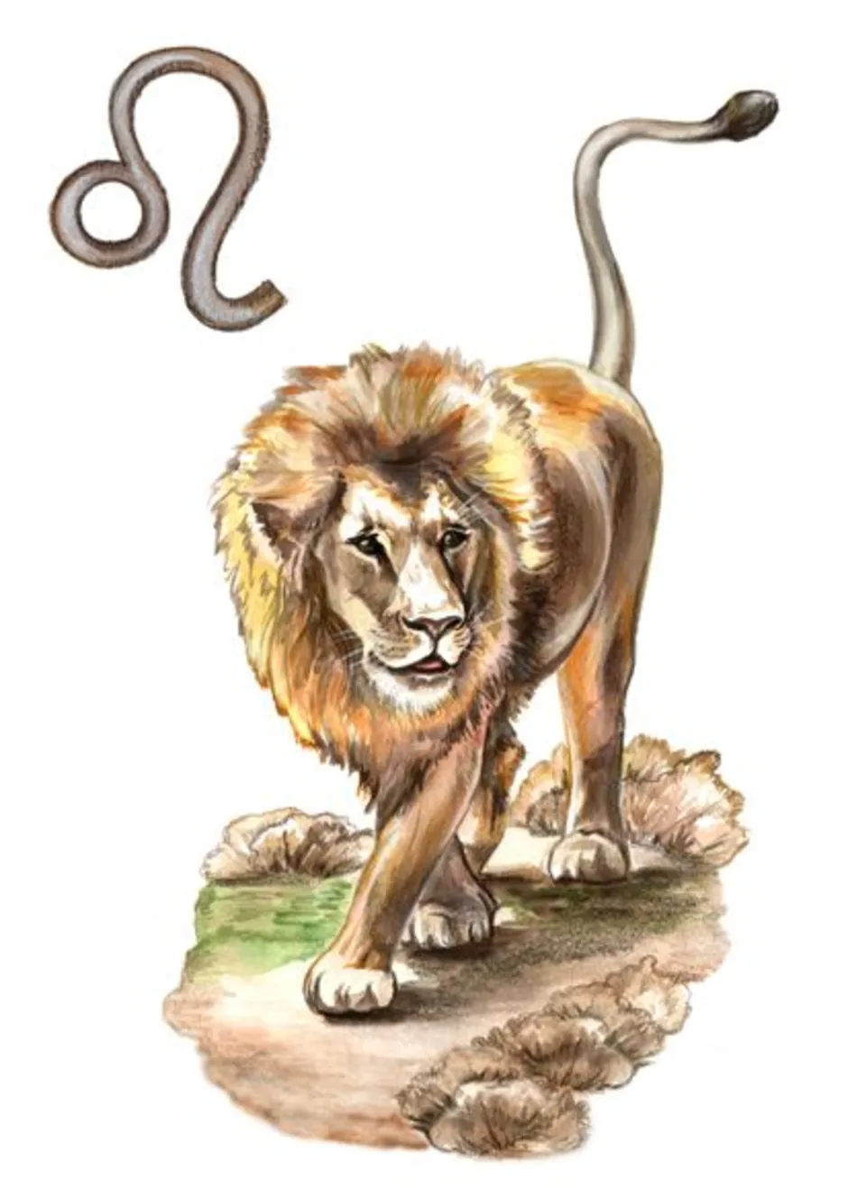 Животное знака зодиака лев. Лев Зодиак. Лев символ. Знак зодиака Лев рисунок. Лев знак зодиака символ.