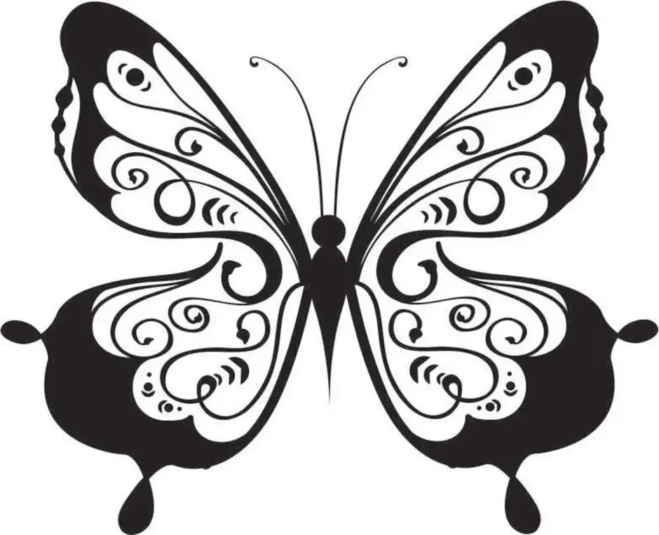 Распечатки бабочек черно. Трафареты бабочки. Трафареты бабочек для декора. Трафарет бабочки для вырезания. Бабочка черно белая.