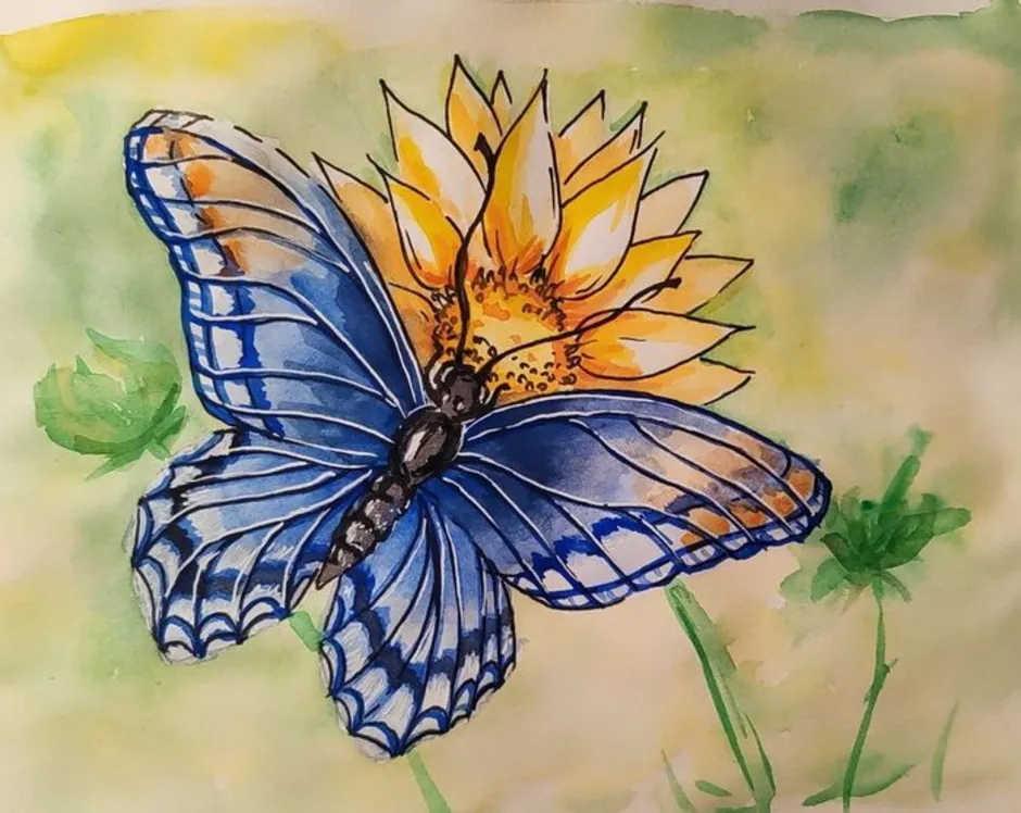 Фото бабочки карандашом