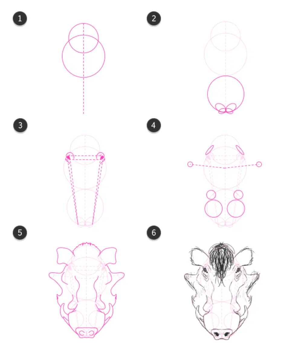 Как нарисовать кабана для детей поэтапно