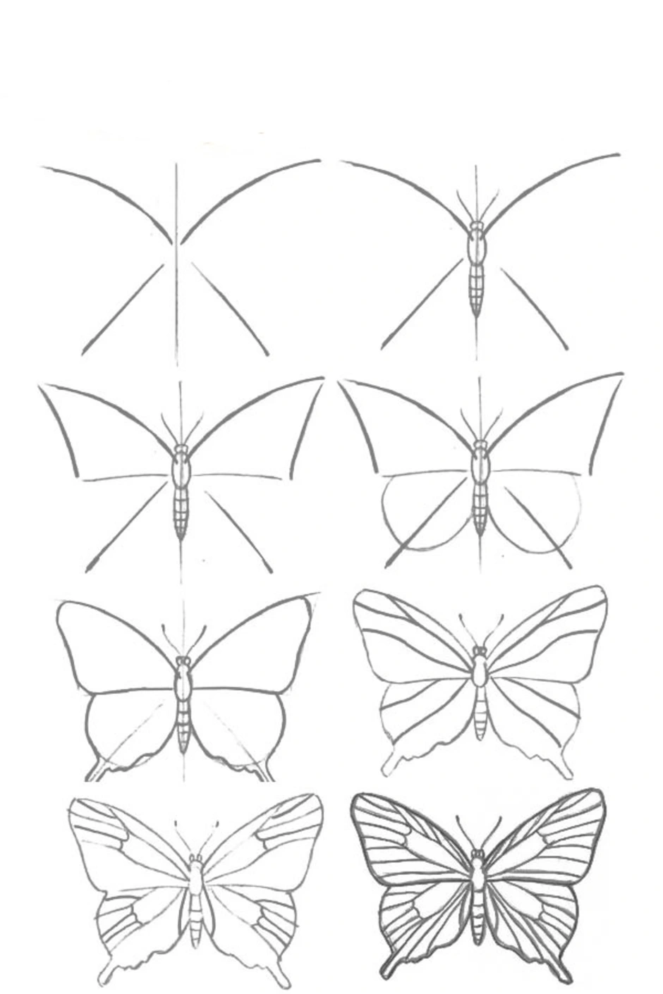 Бабочка рисунок карандашом для срисовки