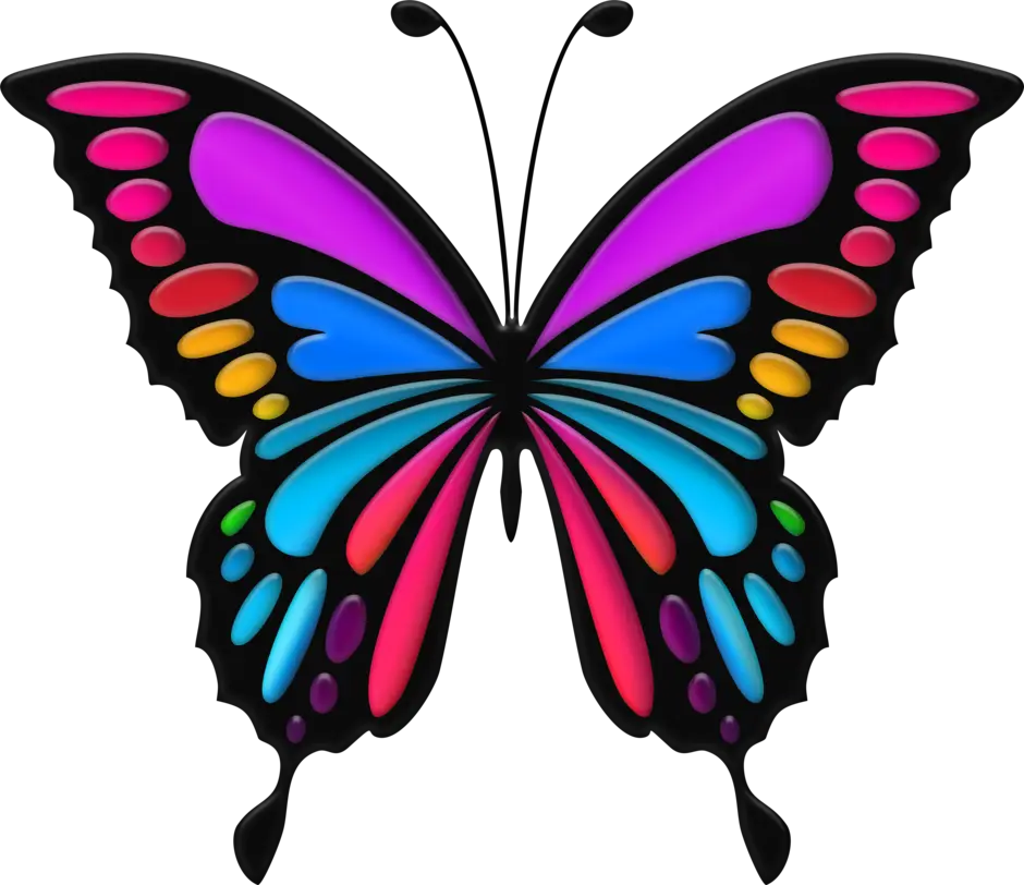 Без цветной рисунок. Бабочка рисунок. Разноцветные бабочки. Бабочки цветные. Бабочка картинка для детей.