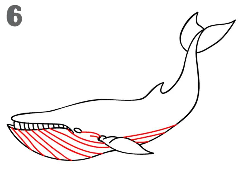 Как нарисовать кита