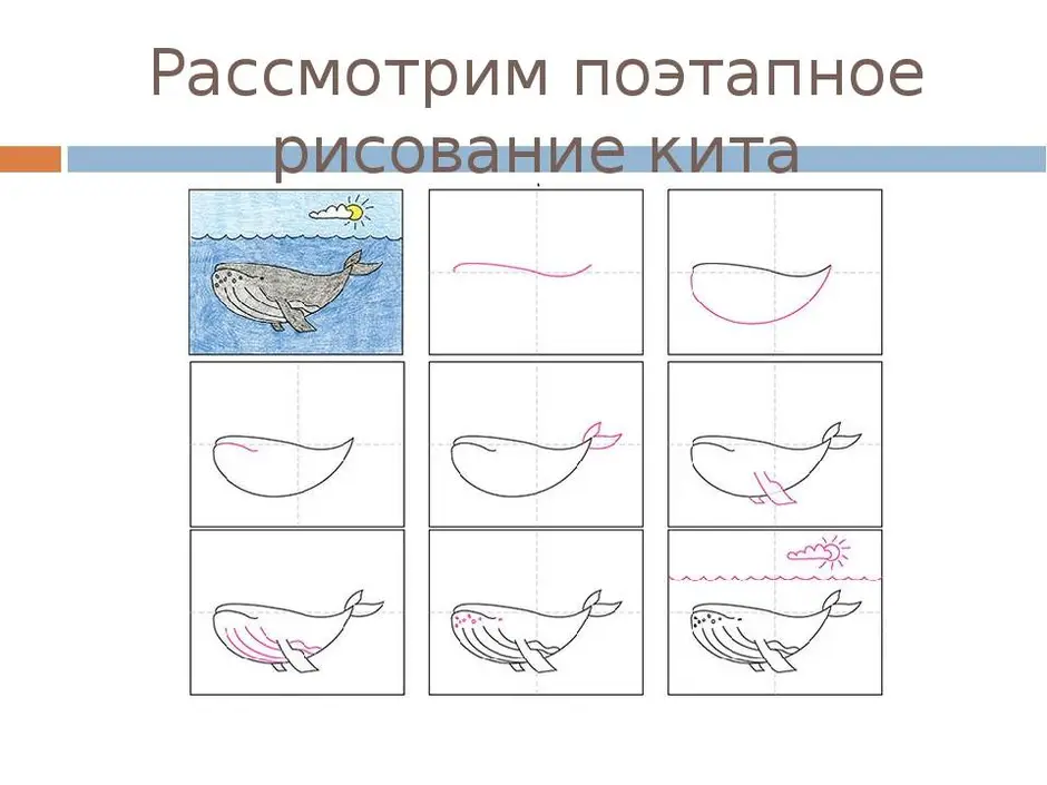 Нарисовать кита ребенку поэтапно