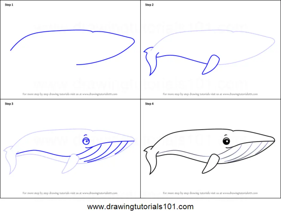 Кит как нарисовать ребенку