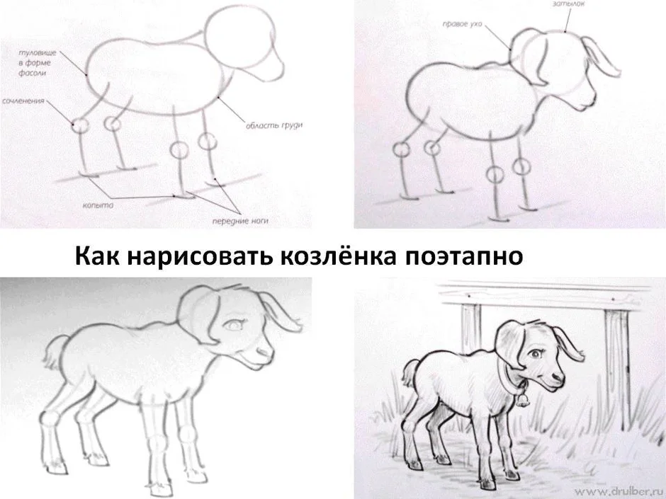 Нарисовать козленка 2 класс