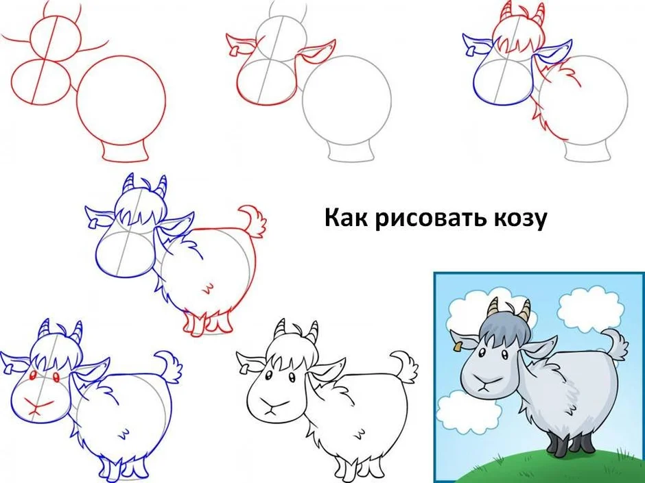 Нарисовать козу карандашом