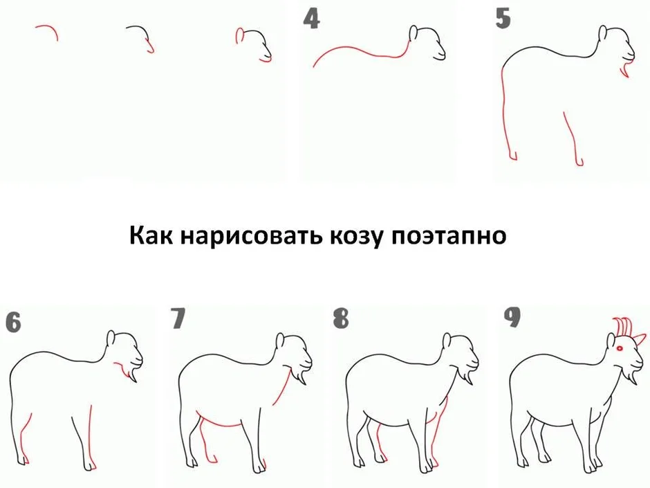 Как нарисовать козу для детей