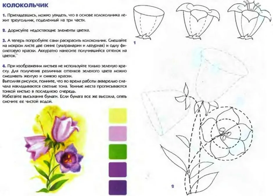 Схема цветка колокольчика. Схемы рисования цветов для детей. Поэтапное рисование цветка. Схема рисования колокольчика. Рисование поэтапно цветы для детей.
