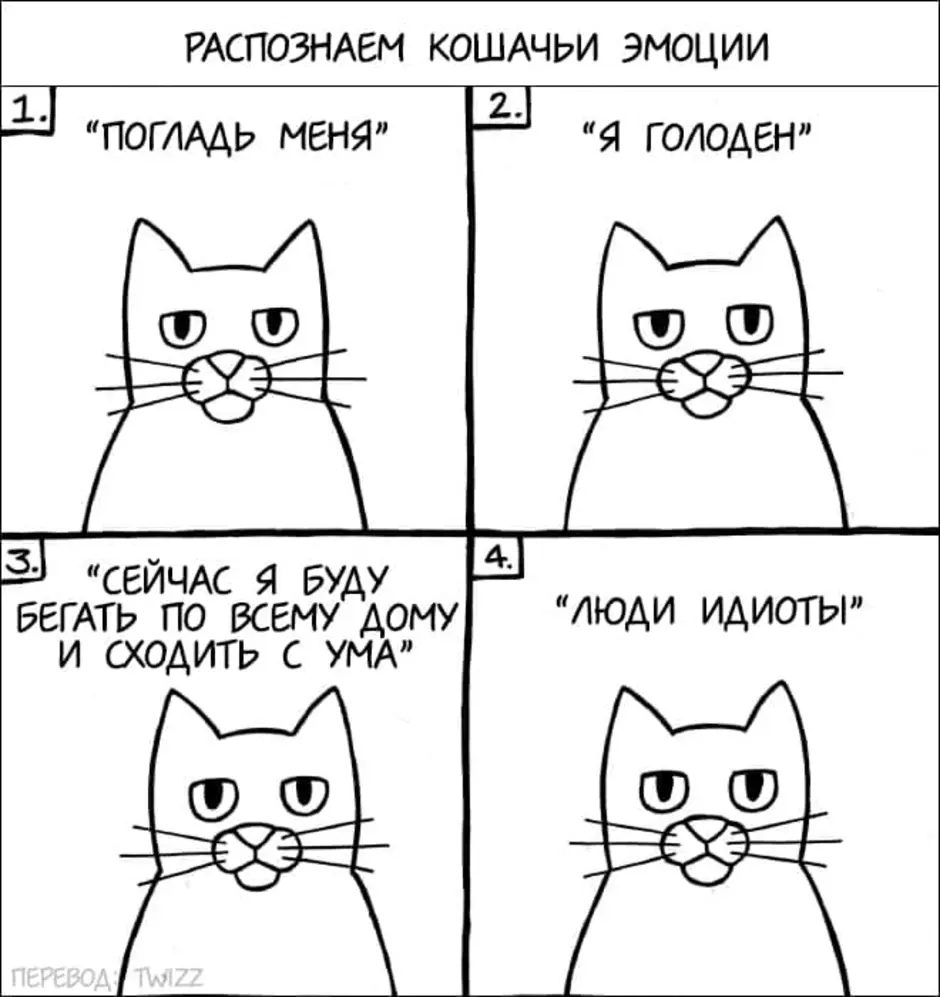 Мемы с котами рисовать