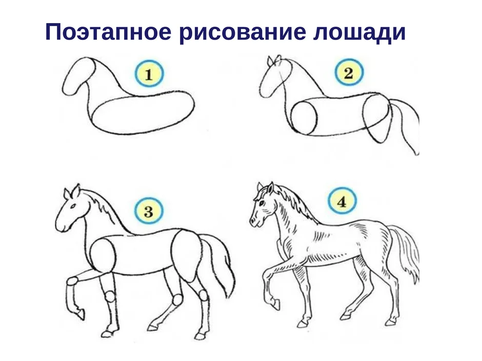 Рисуем лошадку поэтапно для детей 4 5 лет